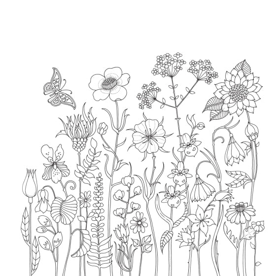 World Of Flowers Coloring Book
