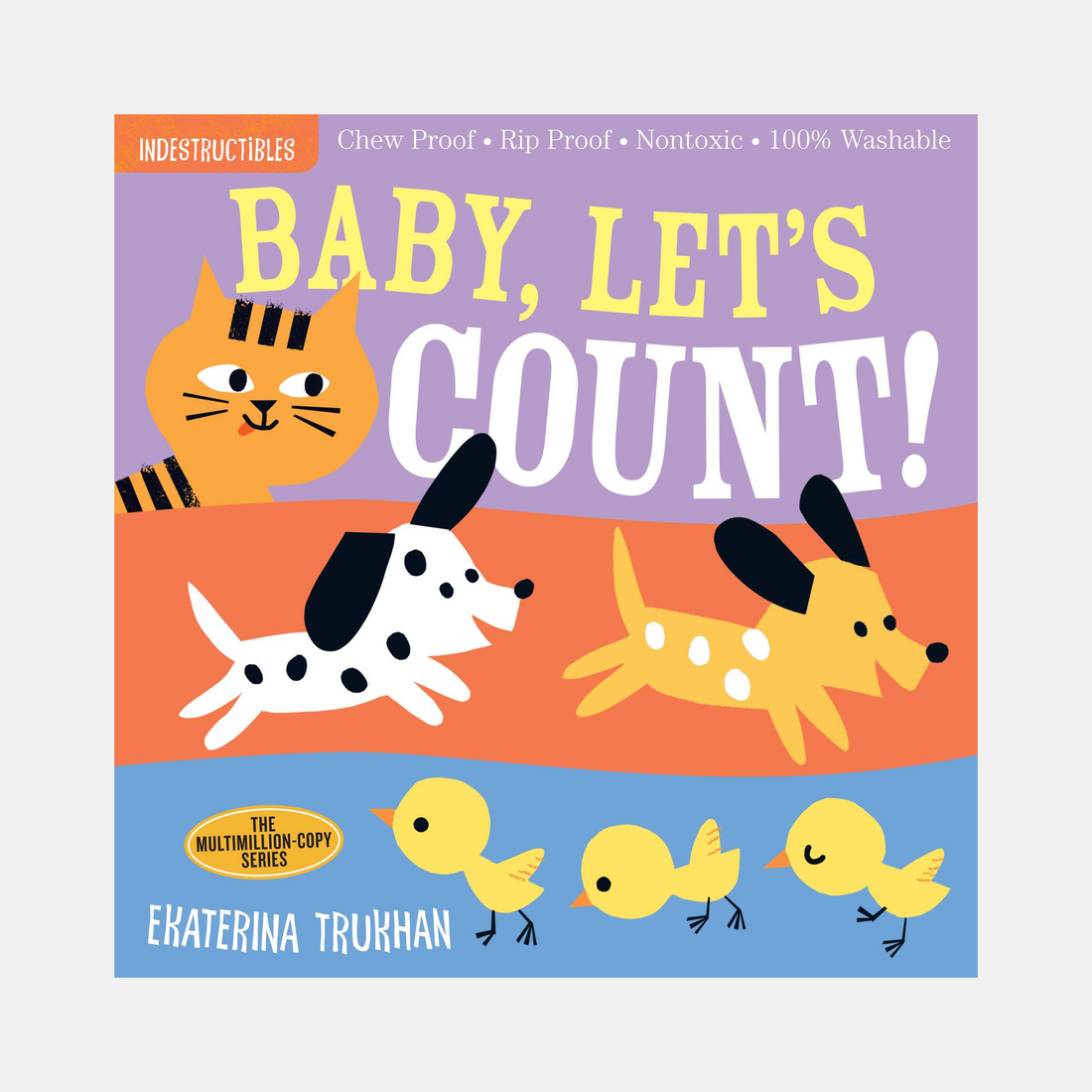 Indestructibles: Baby, Let's Count! Book