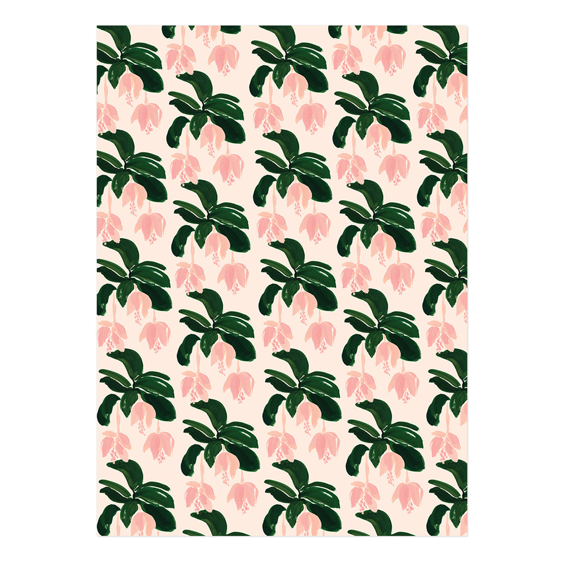 Medinilla Gift Wrap Roll