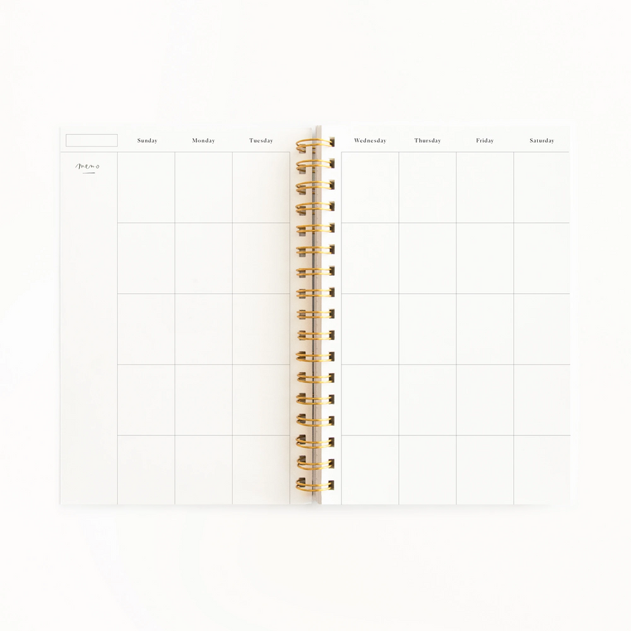 Camelia Extraordinary Year Agenda