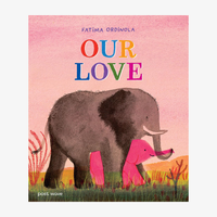 Our Love Picture Book