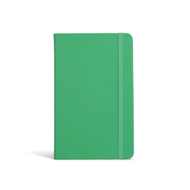 Everyday notebook in green 