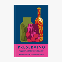 Book cover of 'Preserving' with colorful illustrations on a blue and pink background
