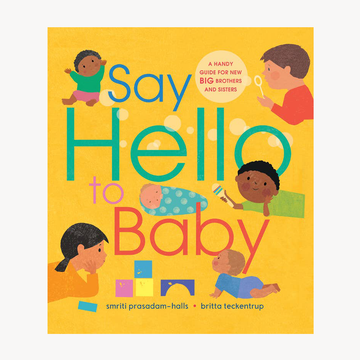 Say Hello to Baby Book
