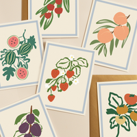 Harvest Assorted Box Set - Spring/Summer