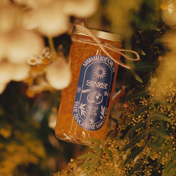 pixie tangerine marmalade in a jar handmade