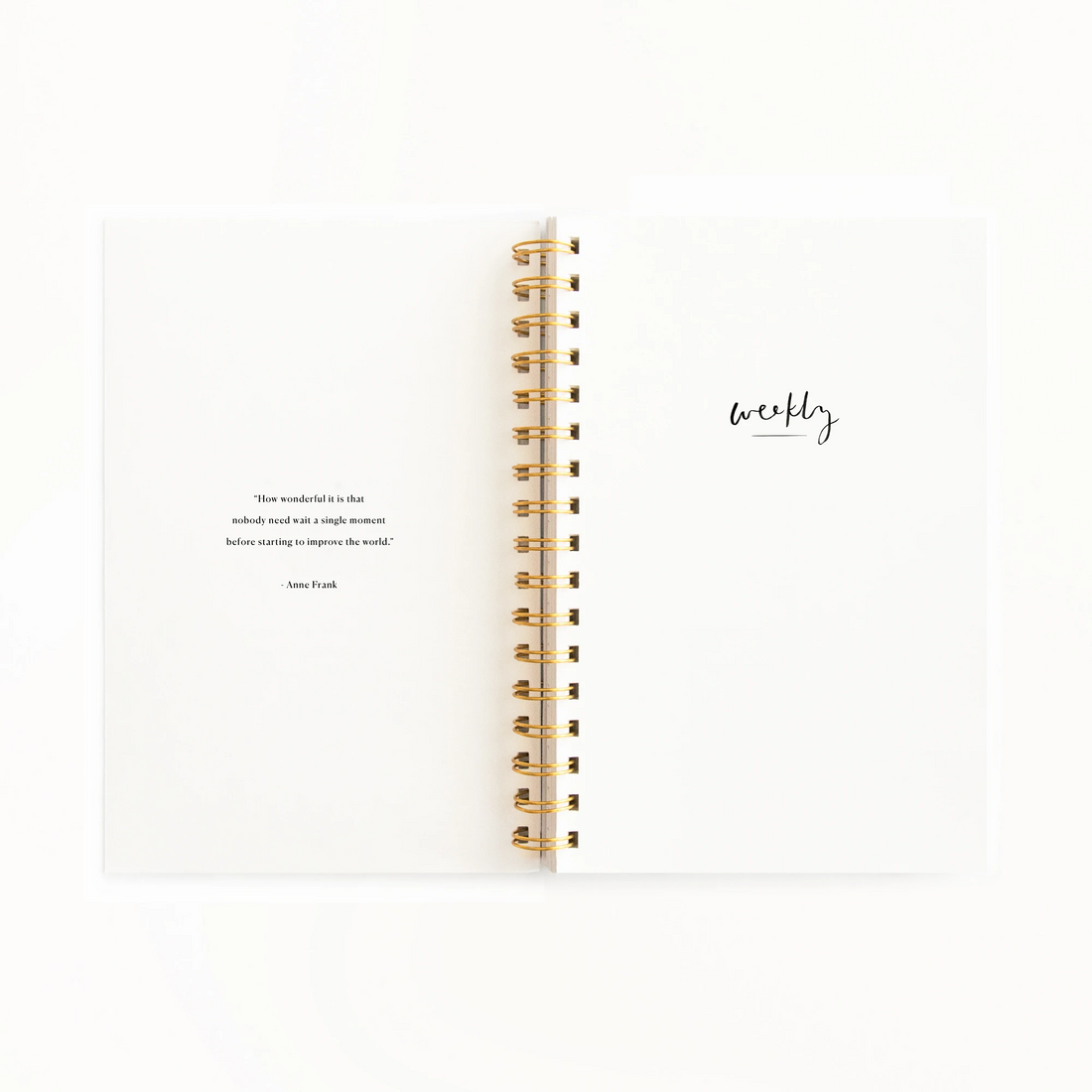 Camelia Extraordinary Year Agenda