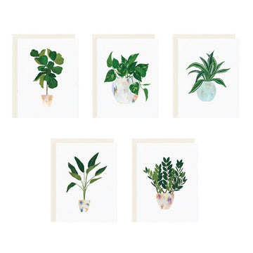 House Plants Assorted Card Set