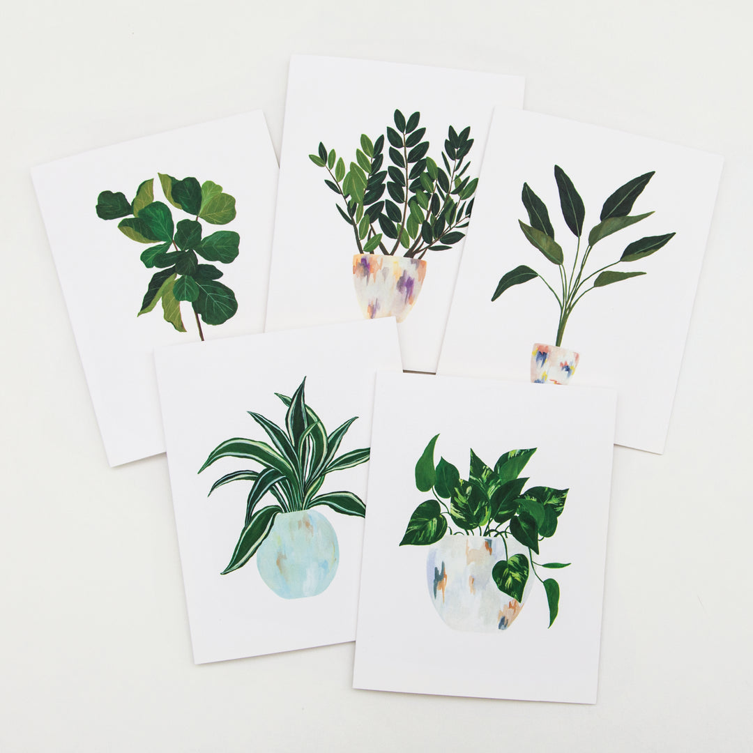 House Plants Assorted Card Set