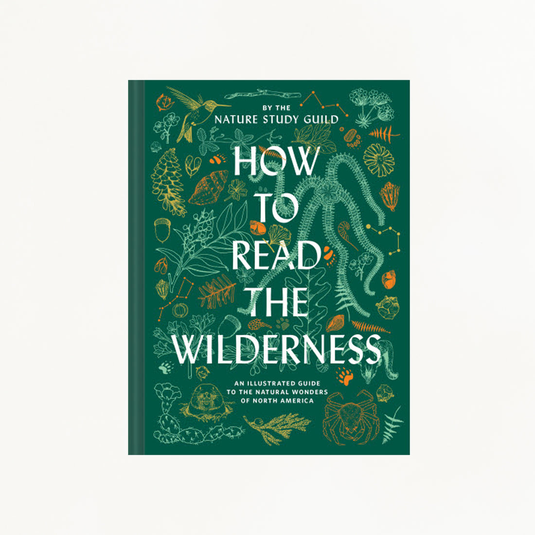 How To Read The Wilderness