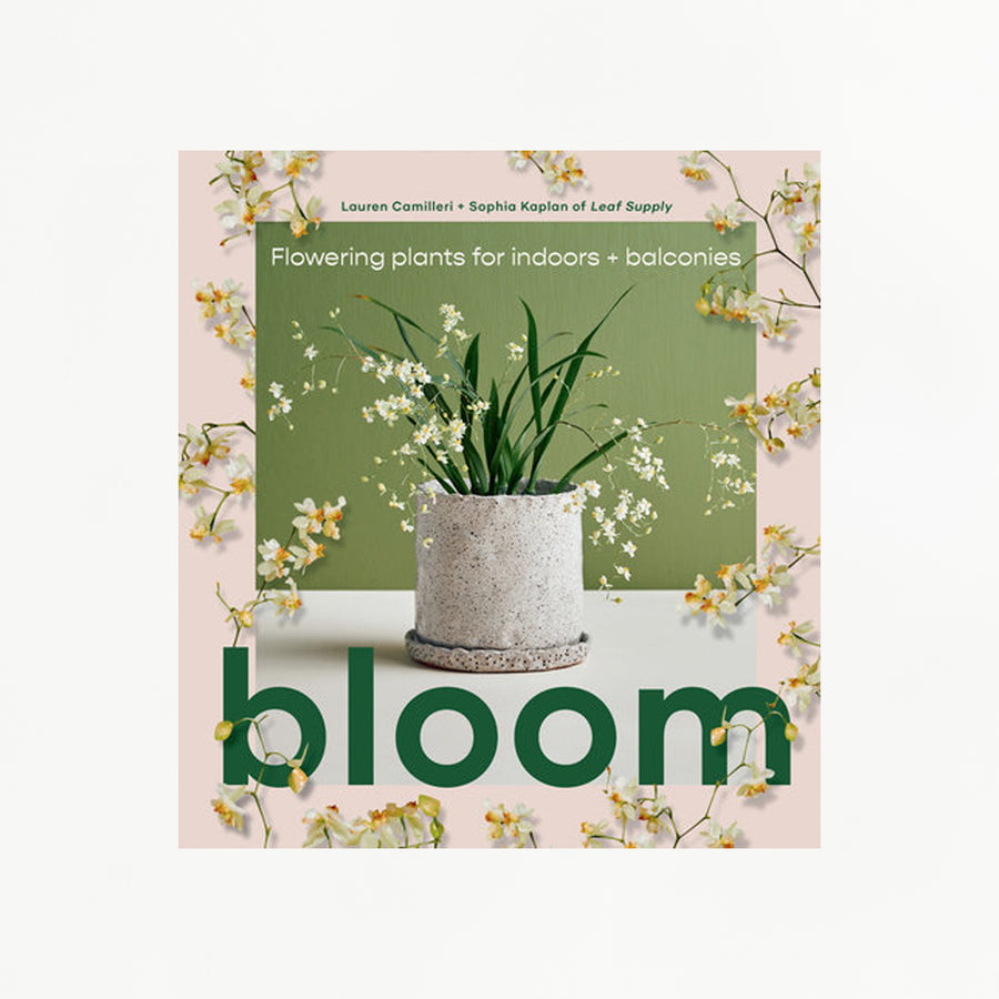 Bloom: Flowering Plants For Indoors + Balconies